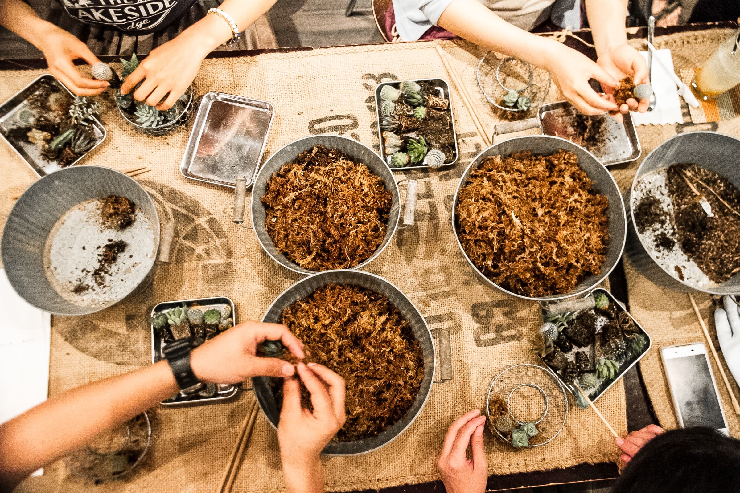 saboten workshop 2016
