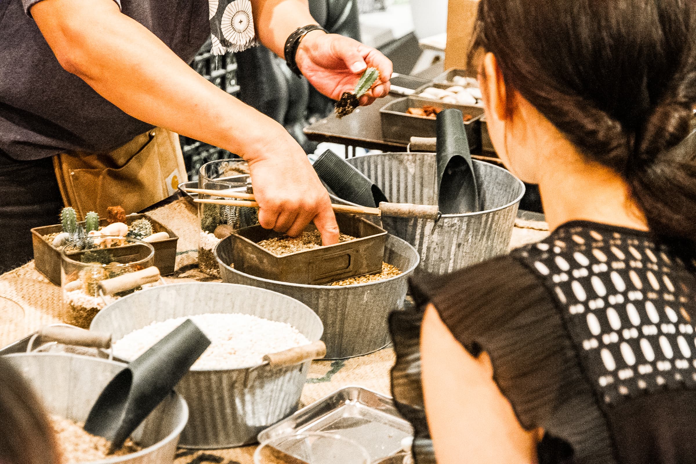 saboten workshop 2016