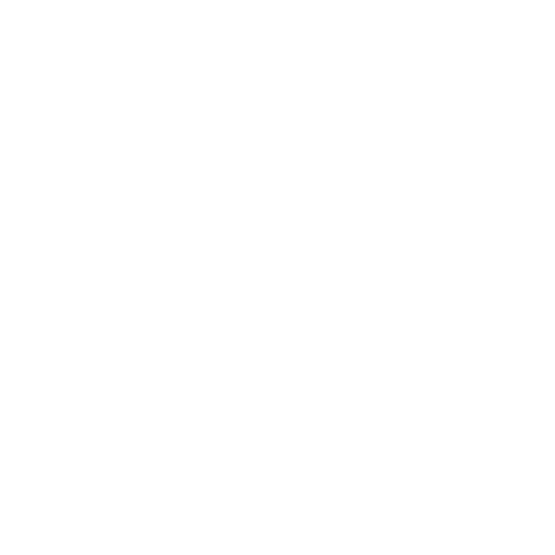 Next life